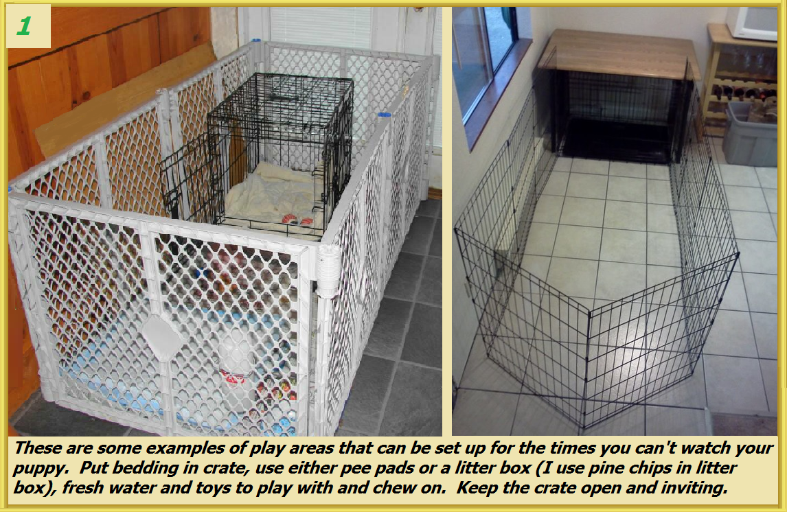 Dog playpen with potty area best sale