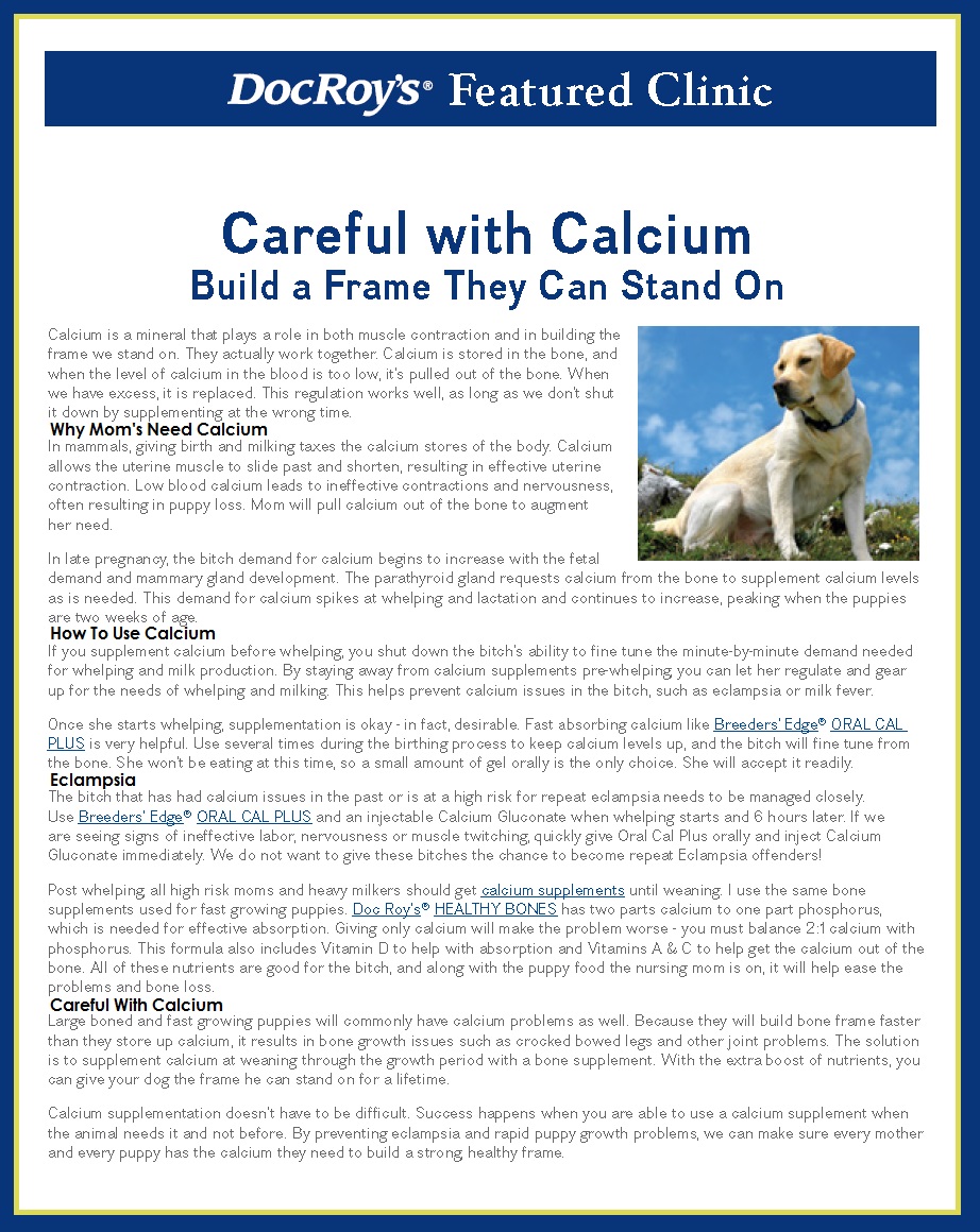 Calcium web site
