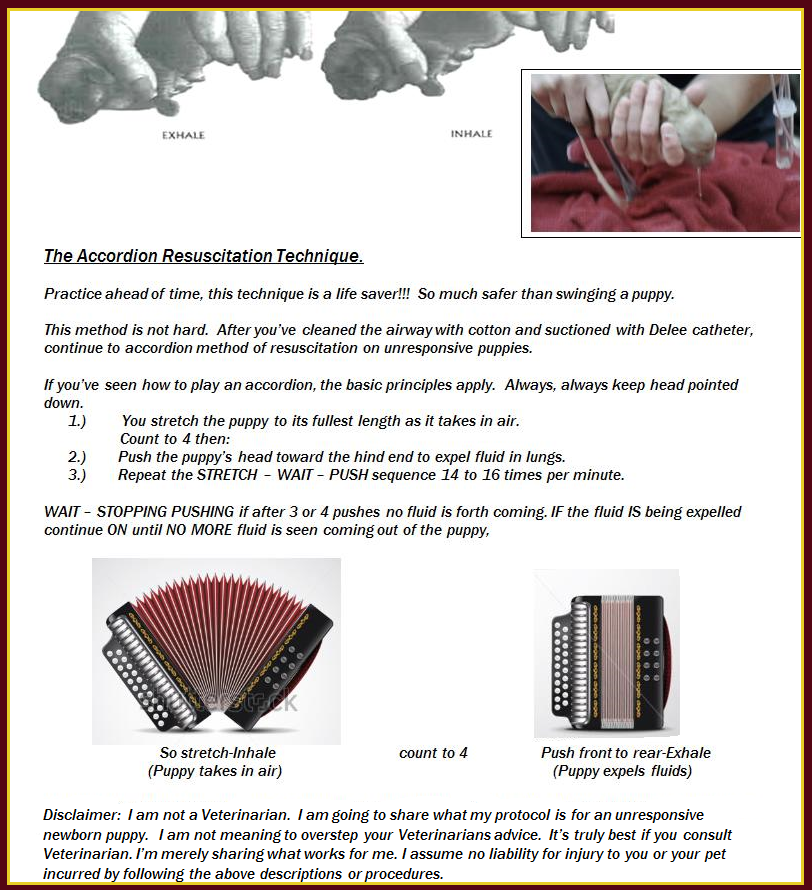 accordion method Short Version.apng