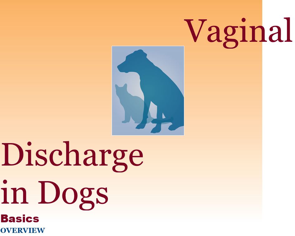 vaginal discharge6